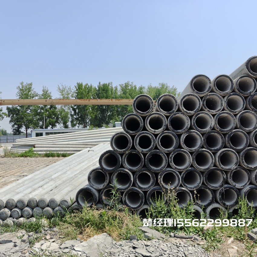 浩口原种场12米锥形水泥电杆